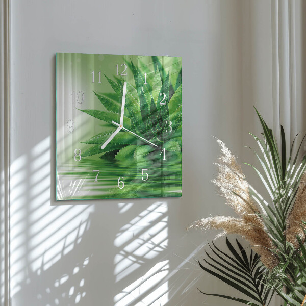 Skleněné hodiny Aloe