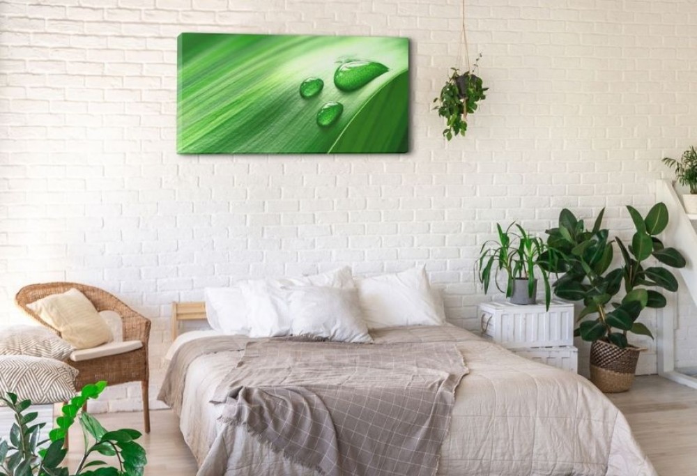 dekorace pronajatého bytu